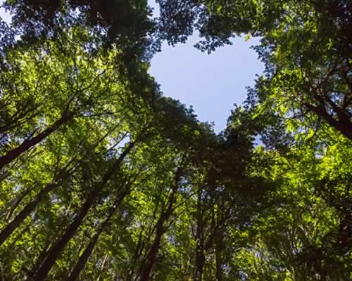 男朋友吃醋了要分手怎么挽回？ - 辰飞雨恋来情感网