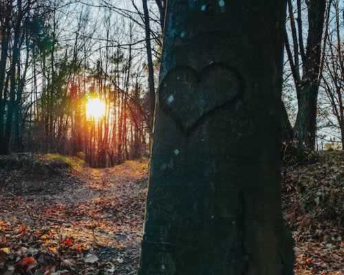 女人有意跟你发展关系，一般会默许你哪些行为呢？ - 恋来情感网