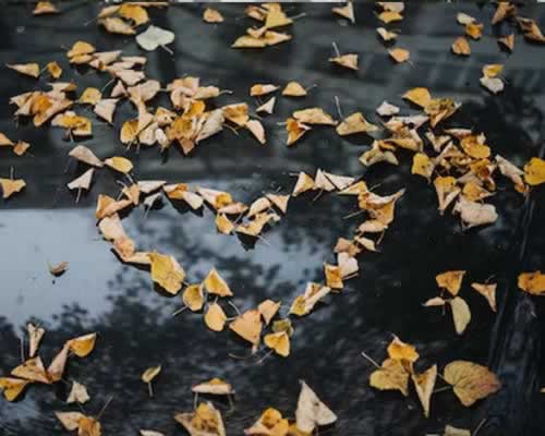 女人的恋爱3个阶段，你倾向于哪一种？ - 恋来情感网