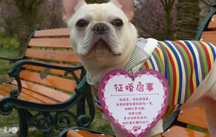 发个朋友圈也能撩人?看看挽回大师怎么指导朋友圈建设(图11) 发个朋友圈也能撩人?看看挽回大师怎么指导朋友圈建设(图11)