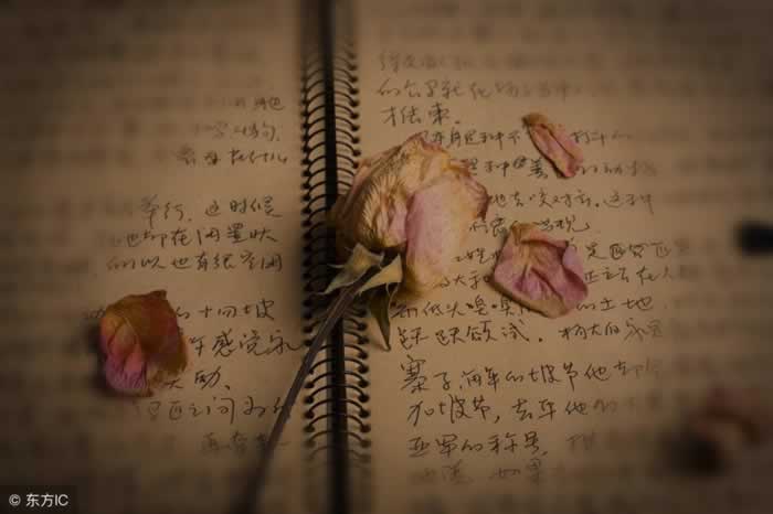 挽回的你，要学会在感情中做一个拎得清的女人(图1)