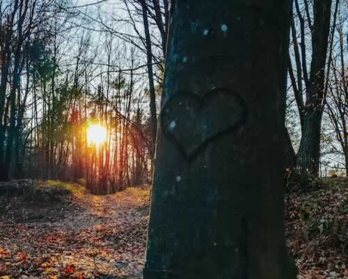 父母对男朋友有意见怎么办？怀孕了也不敢说 - 恋来情感网
