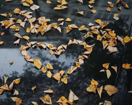 感觉相亲男友并不爱我，这段关系要继续吗 - 恋来情感网