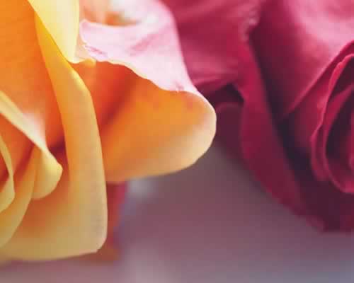 相亲市场新风向：为什么越来越多的男人，愿意娶比自己大的女人？ - 恋来情感网