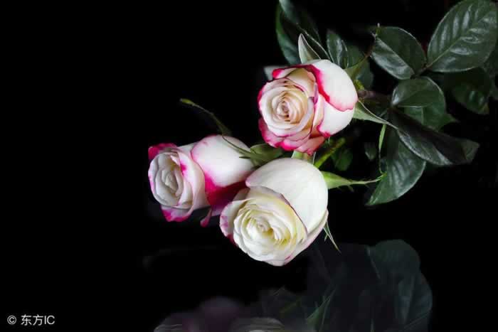 感情里三观合不合，主要看这三点(图2)