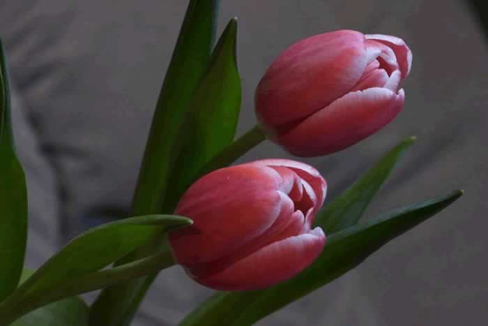 有些女人,让男人越来越着迷是有原因的(图1) 有些女人,让男人越来越着迷是有原因的(图1)