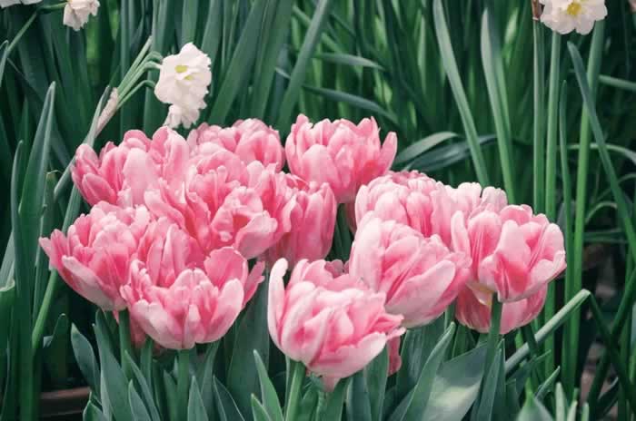 有些女人,让男人越来越着迷是有原因的(图3) 有些女人,让男人越来越着迷是有原因的(图3)