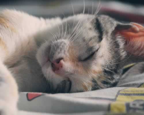 有些女人，让男人越来越着迷是有原因的 - 恋来情感网