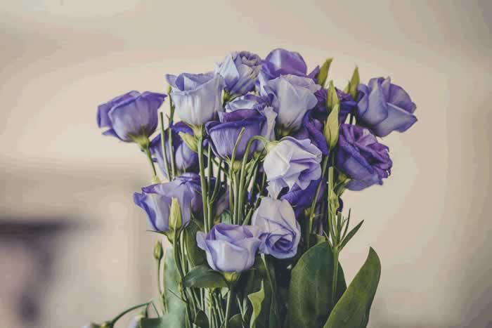 能让女人下定决心离婚的理由,其实只有一个(图3) 能让女人下定决心离婚的理由,其实只有一个(图3)