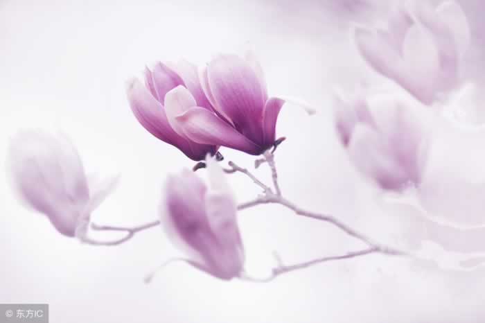 当女人对男人,这三件事不管不问时,男人要小心了(图2) 当女人对男人,这三件事不管不问时,男人要小心了(图2)