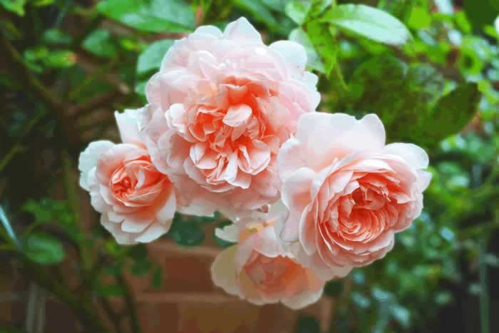 背叛婚姻的男人,会真心回归家庭吗?来听听已婚男人的心里话(图4) 背叛婚姻的男人,会真心回归家庭吗?来听听已婚男人的心里话(图4)