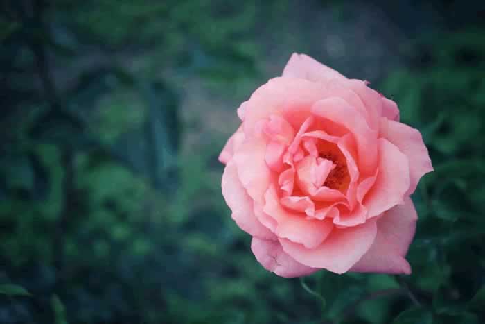 背叛婚姻的男人,会真心回归家庭吗?来听听已婚男人的心里话(图5) 背叛婚姻的男人,会真心回归家庭吗?来听听已婚男人的心里话(图5)