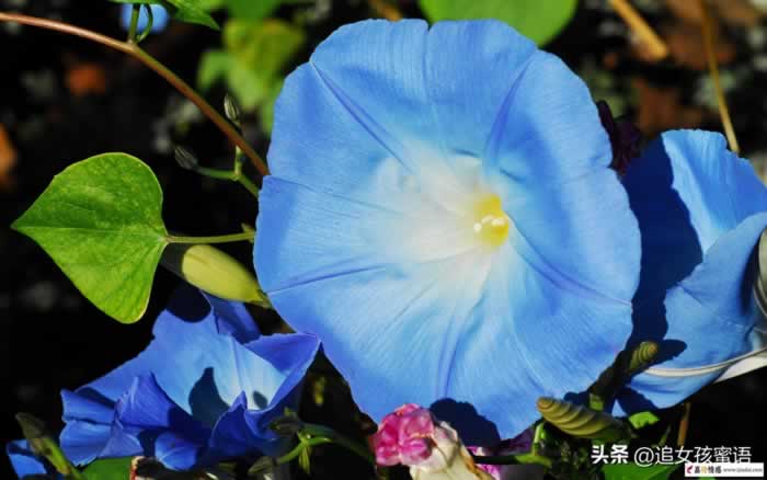老婆太物质了还有挽回的必要吗？告诉你答案！(图1)