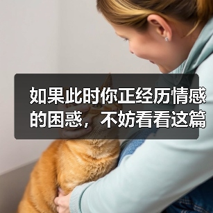 如果此时你正经历情感的困惑，不妨看看这篇文章 - 辰飞雨恋来情感网