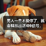 男人一旦不爱你了,就会释放出这4种信号,女人千万别不懂(图2) 男人一旦不爱你了,就会释放出这4种信号,女人千万别不懂(图2)