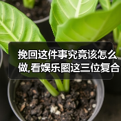 挽回这件事究竟该怎么做,看娱乐圈这三位复合明星?(图4) 挽回这件事究竟该怎么做,看娱乐圈这三位复合明星?(图4)