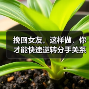 挽回女友，这样做，你才能快速逆转分手关系，实现复合(图3)
