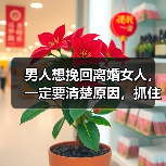 男人想挽回离婚女人，一定要清楚原因，抓住需求对症下药(图1)