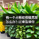 有一个占有欲极强男友怎么办?过来告诉你(图2) 有一个占有欲极强男友怎么办?过来告诉你(图2)