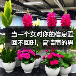 当一个女对你的信息爱回不回时，高情商的男人选择这样做(图3)