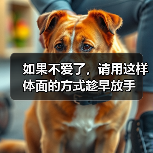 如果不爱了，请用这样体面的方式趁早放手(图3)
