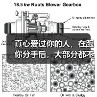 真心爱过你的人，在跟你分手后，大部分都不会联系你(图2)