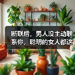 断联后,男人没主动联系你,聪明的女人都这样挽回(图4) 断联后,男人没主动联系你,聪明的女人都这样挽回(图4)