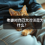 老婆对自己太冷淡是为什么？(图2)
