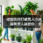 破窗效应打破男人冷战,越用男人越爱你,舍不得离开你(图3) 破窗效应打破男人冷战,越用男人越爱你,舍不得离开你(图3)