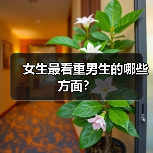 女生最看重男生的哪些方面?(图1) 女生最看重男生的哪些方面?(图1)