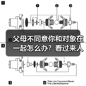 父母不同意你和对象在一起怎么办？看过来人怎么说(图4)
