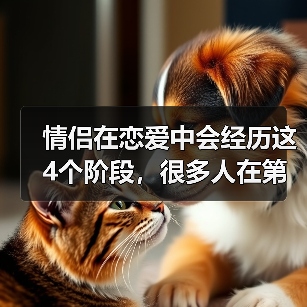 情侣在恋爱中会经历这4个阶段,很多人在第二个阶段就已经分手了(图2) 情侣在恋爱中会经历这4个阶段,很多人在第二个阶段就已经分手了(图2)