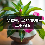 恋爱中，这3个禁忌一定不能碰(图1)