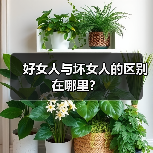 好女人与坏女人的区别在哪里？(图4)