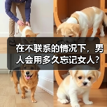 在不联系的情况下，男人会用多久忘记女人？(图3)
