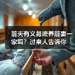 前夫有义务赡养前妻一家吗？过来人告诉你(图2)