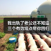 我出轨了老公还不知道 三个有效观点帮你回归正轨！(图1)