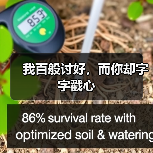 我百般讨好，而你却字字戳心(图4)