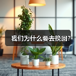 我们为什么要去挽回?(图4) 我们为什么要去挽回?(图4)