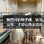挽回时的种子信,该怎么写,才能让他主动找你复合?(图4) 挽回时的种子信,该怎么写,才能让他主动找你复合?(图4)