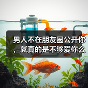 男人不在朋友圈公开你,就真的是不够爱你么?(图1) 男人不在朋友圈公开你,就真的是不够爱你么?(图1)