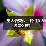 男人爱变心,我们女人该怎么做?(图1) 男人爱变心,我们女人该怎么做?(图1)