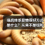 婚后维系爱情很好方式是什么？从来不是钱和房子，而是三个方法(图3)