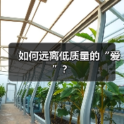 如何远离低质量的“爱”?(图2) 如何远离低质量的“爱”?(图2)