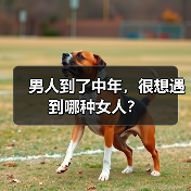 男人到了中年，很想遇到哪种女人？(图4)