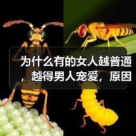 为什么有的女人越普通，越得男人宠爱，原因让人想不到(图3)