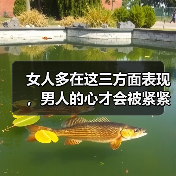 女人多在这三方面表现,男人的心才会被紧紧抓牢,主动珍惜你(图1) 女人多在这三方面表现,男人的心才会被紧紧抓牢,主动珍惜你(图1)