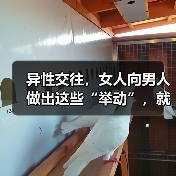 异性交往,女人向男人做出这些“举动”,就意味着想要和你在一起(图2) 异性交往,女人向男人做出这些“举动”,就意味着想要和你在一起(图2)