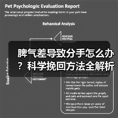 脾气差导致分手怎么办?科学挽回方法全解析(图3) 脾气差导致分手怎么办?科学挽回方法全解析(图3)
