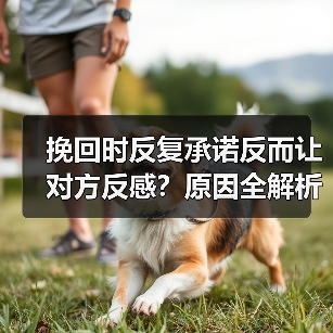 挽回时反复承诺反而让对方反感?原因全解析(图2) 挽回时反复承诺反而让对方反感?原因全解析(图2)
